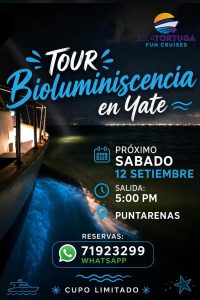 Tour Nocturno de Bioluminiscencia en el Golfo de Nicoya